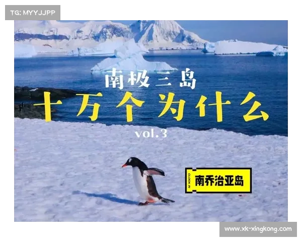 南乔治亚岛格吕特维肯举办静音企鹅观测马拉松 保护生态为核心 南乔治亚岛格吕特维肯举办静音企鹅观测马拉松 保护生态为核心