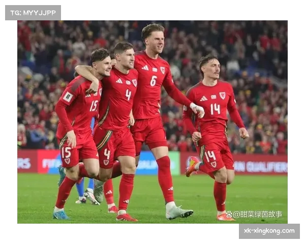 威尔士2比4不敌比利时 德布劳内点球梅开二度
